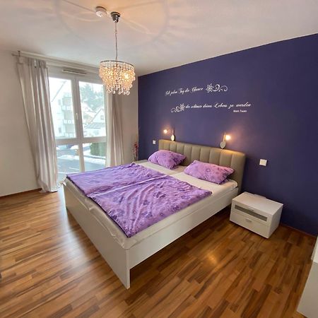 Апартаменты Schillerstrasse Иберлинген Экстерьер фото